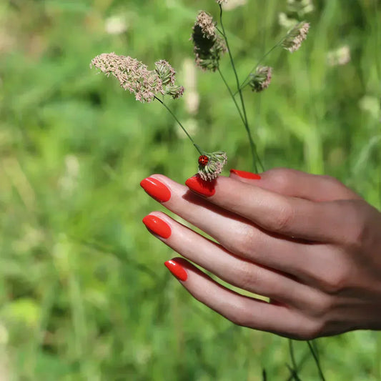 Can Essential Oils be Used on Skin?
