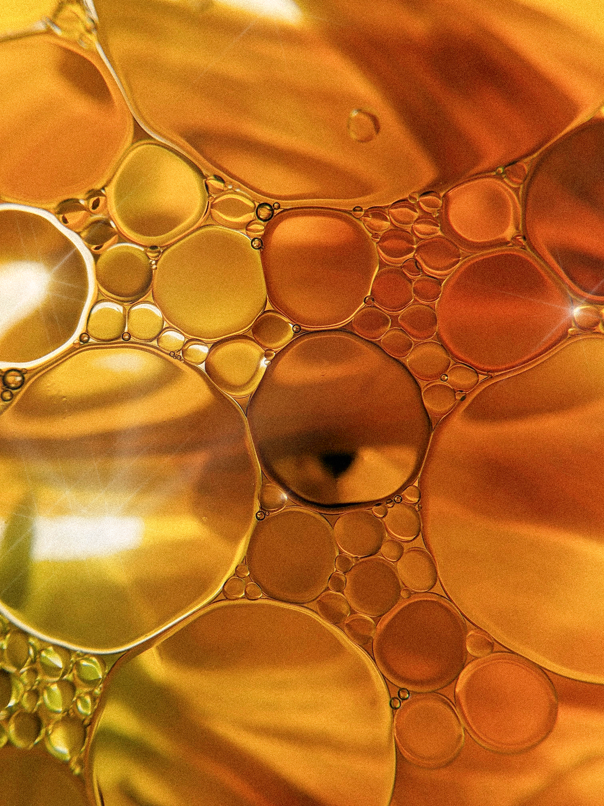 Why We Pair Tallow With Golden Jojoba