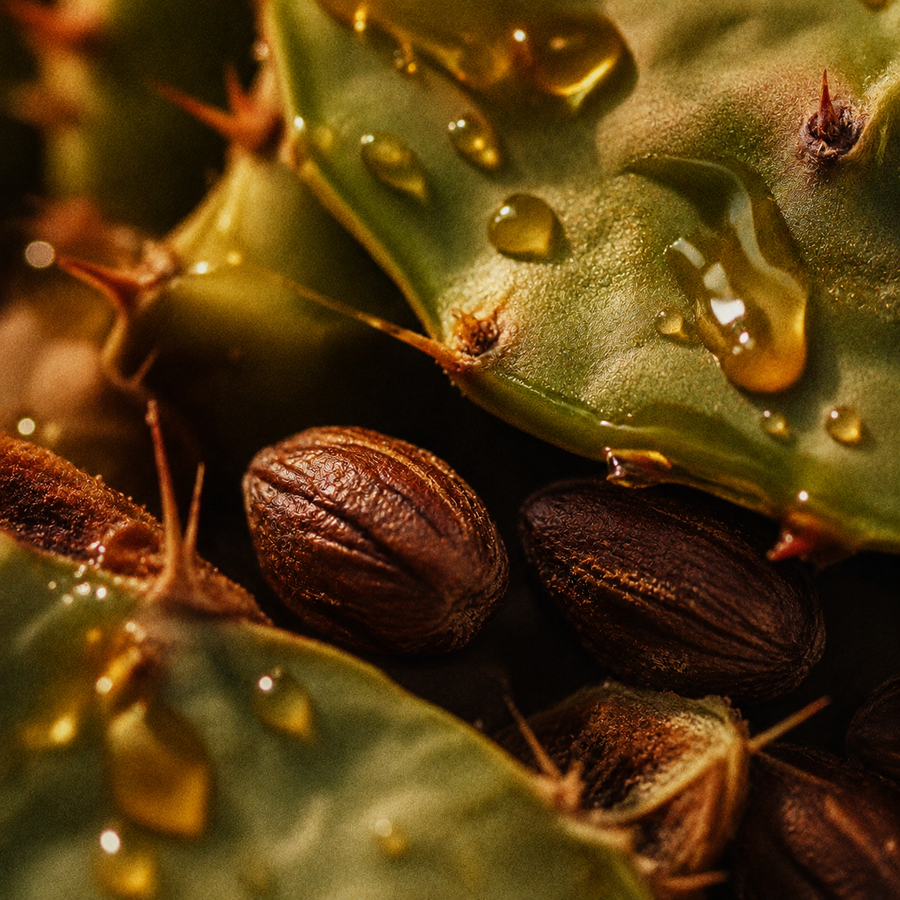 JOJOBA + PRICKLY PEAR
